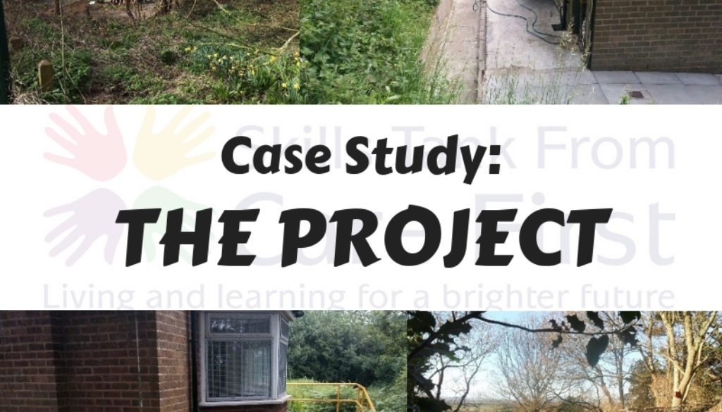 Case Study #1: The Project